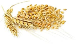 Сертификат качества и декларация соответствия на зерно